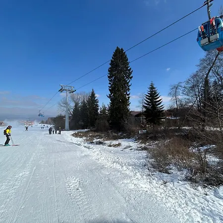 Daire Ski-in Flat Next To Road At Mountain View *