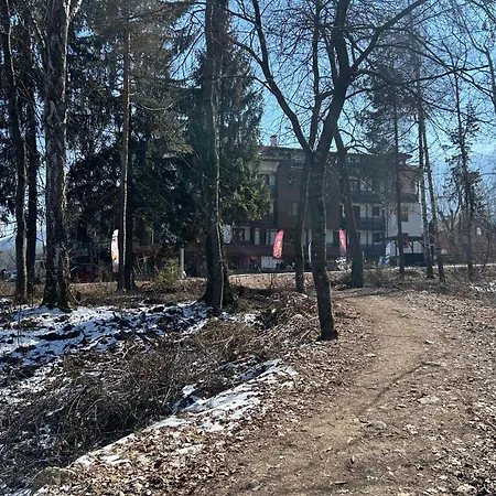 Daire Ski-in Flat Next To Road At Mountain View