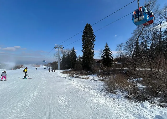 Daire Ski-in Flat Next To Road At Mountain View *