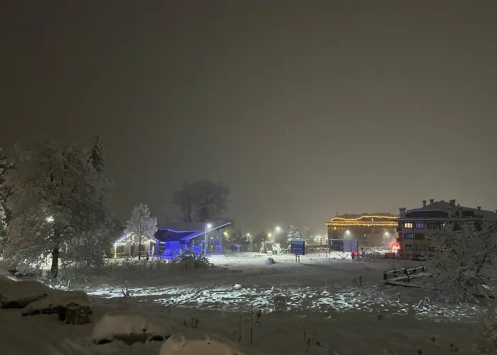 Ski-in Flat Next To Road At Mountain View Daire